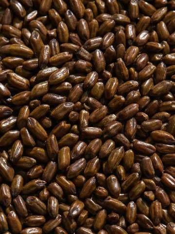 CASSIA SEED POLYSACCHARIDE